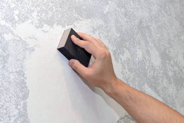 Best Mold Damage Restoration  in Fort Washington, MD