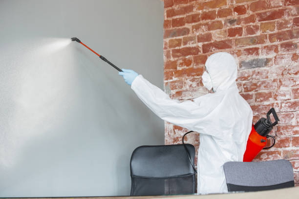 Best Mold Remediation for Healthcare Facilities  in Fort Washington, MD