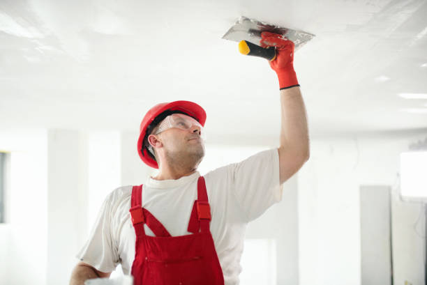 Best Comprehensive Air Testing for Mold Contaminants  in Fort Washington, MD