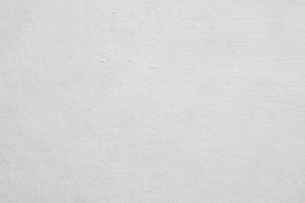 Best Mold Removal for HVAC Installations  in Fort Washington, MD
