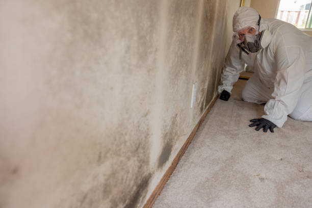 Best Real Estate Mold Inspection  in Fort Washington, MD